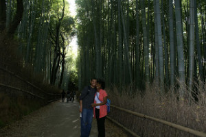 That Bamboo is PRETTY Tall